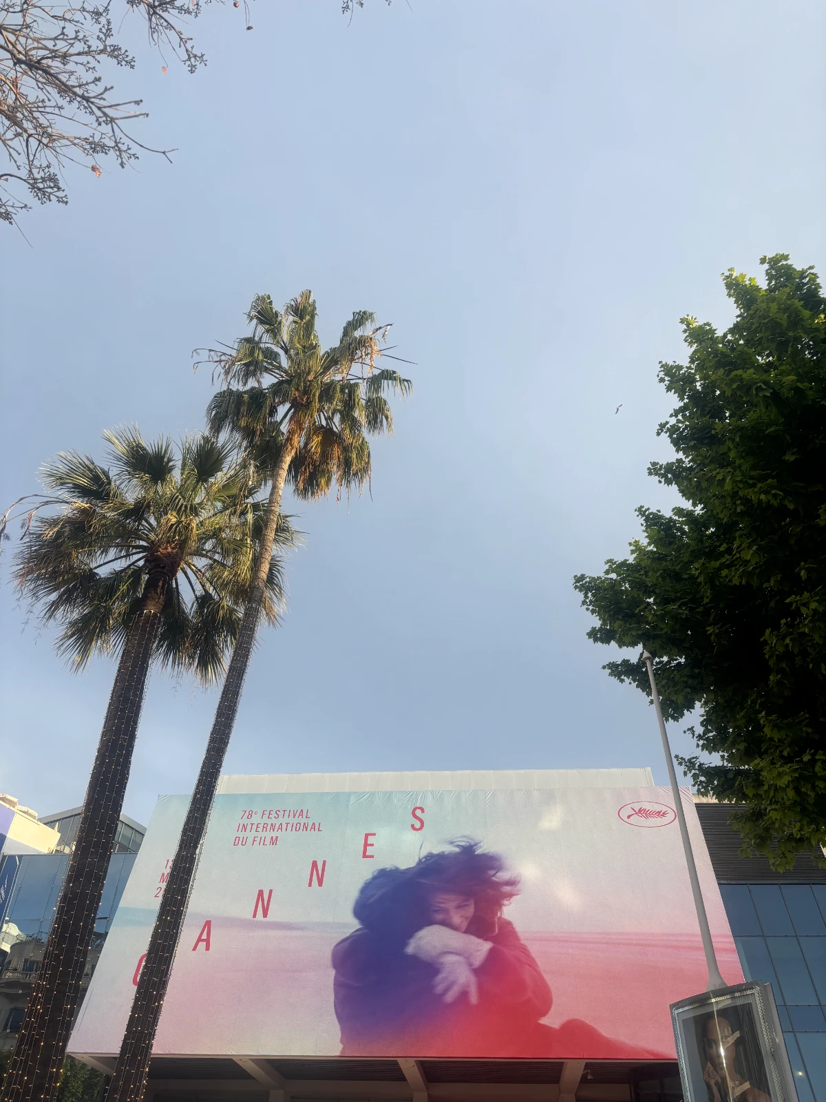 Maxime Biaggi x Cannes Film Festival 2025